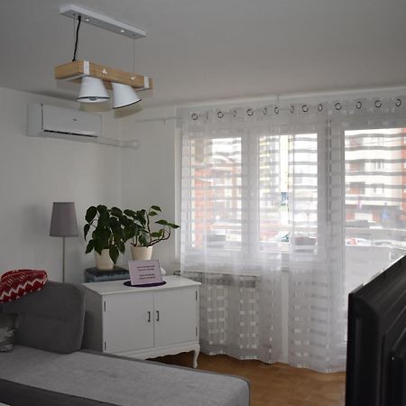 Apartman Milicevic Sarajevo Bagian luar foto